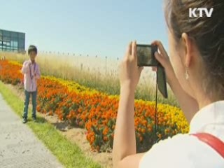 세종청사 옥상정원 일반에 첫 개방