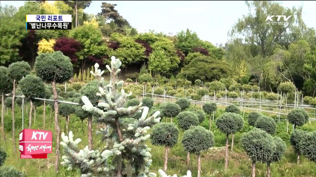 희귀나무의 천국 '별난나무수목원'