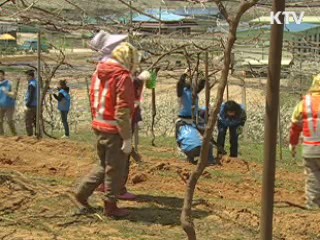 자원 민방위대 3만명 창설