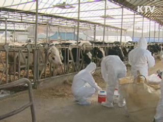 설 전까지 예방접종 완료 