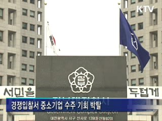 '위장 중소기업' 조달시장 참여 제한