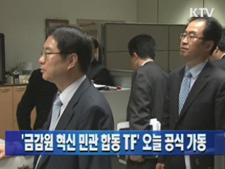 '금감원 혁신 민관합동 TF' 오늘 공식 가동