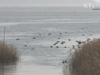 AI 청정국 지위 회복···수입금지 해제 요청