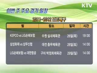 스포츠캘린더