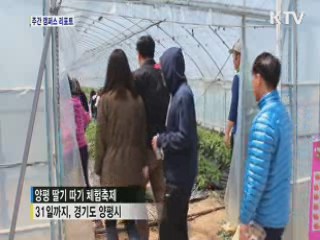 '딸기 따며 봄 느껴요' 양평 딸기축제