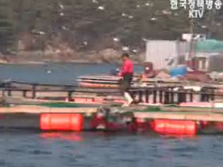 지난해 전국 양식어업 면적 5.3% 증가