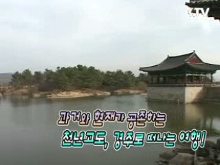 과거와 현재가 공존하는 천년고도, 경주로 떠나는 여행!