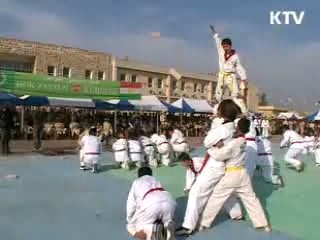 태권도, 국가브랜드 제고 '첨병'으로