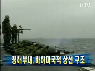 청해부대, 바하마국적 상선 구조