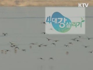 4대강 브랜드, '사람·자연 조화' 상징