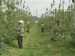 충북도 전국 최초 '유기농특구' 만든다