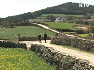 '슬로시티' 신안 증도, 자동차 사라진다