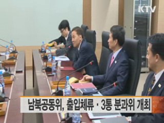 남북공동위, 출입체류·3통 분과위 개최