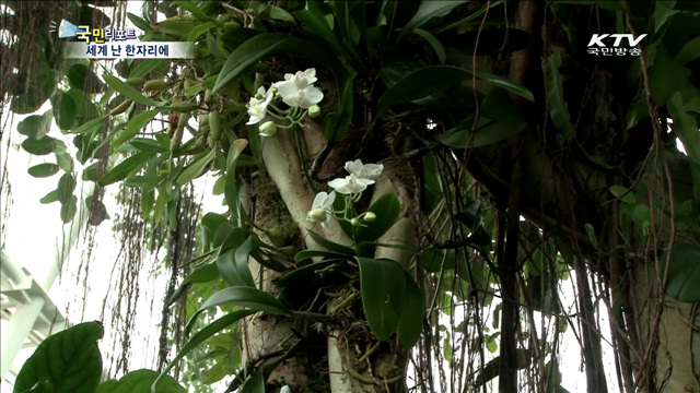 국립생태원에 세계 희귀난 다 모였다