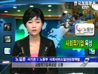 `사회적기업` 육성