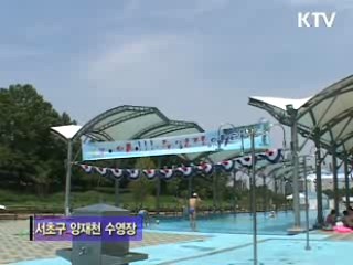 양재천 수영장 [지금 대한민국]