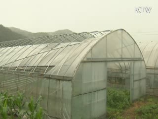 전국 가을비···기온 '뚝'