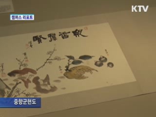 KTV NEWS 9 (81회)