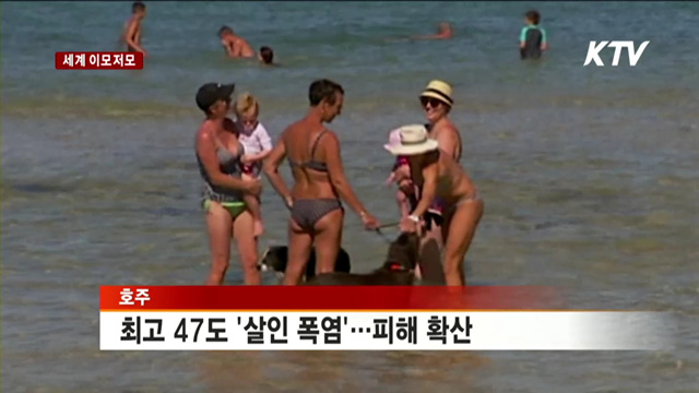 호주 최고 47도 '살인 폭염'…피해 확산 [세계 이모저모]