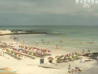 올 우수해수욕장 선정, 해수욕장관리법 제정 추진