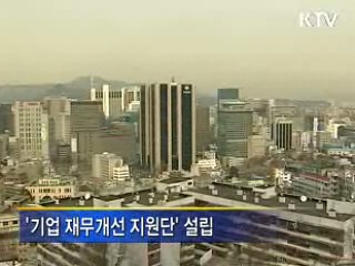 기업 재무개선, 정부가 돕는다