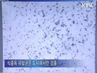 "채소랑 발효식품이 보약이에요"