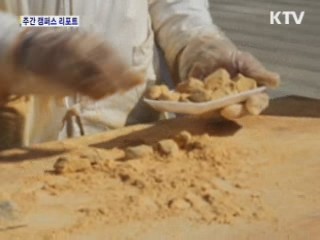 도·농의 뜻깊은 만남 '농수산물 서울장터'