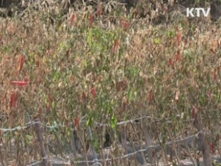 정부, 불산 누출사고 재해복구비 107억원 지원