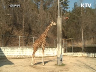 "동물에게 먹이 주지 마세요"