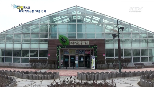 서울숲에 세계 거대곤충 다 모였다