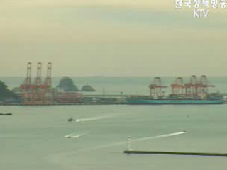 부산 감만 허치슨터미널, 국제 컨테이너 검색 시범사업 참여